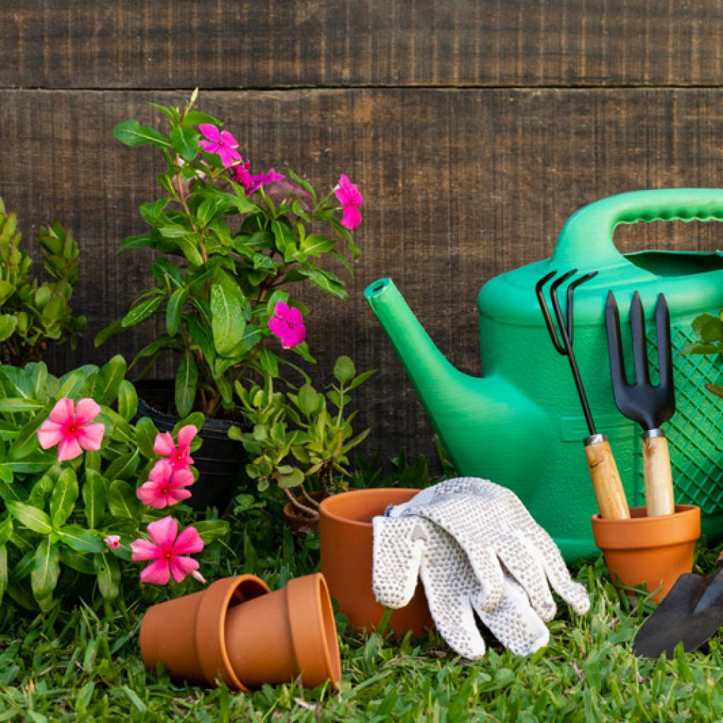 como conseguir un jardin de ensueno
