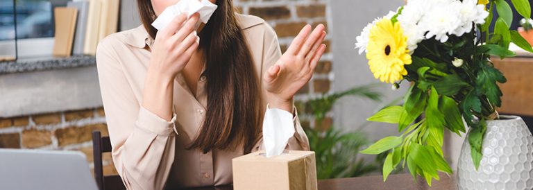 Cómo mantener tu empresa libre de ácaros, polvo y alergias