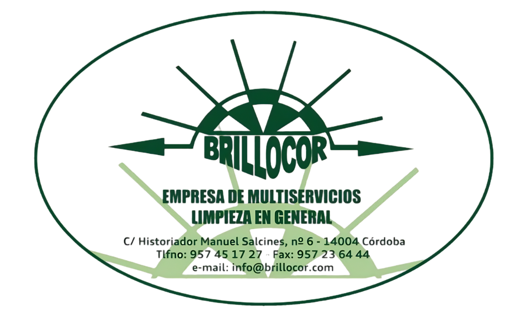 Logotipo Brillocor