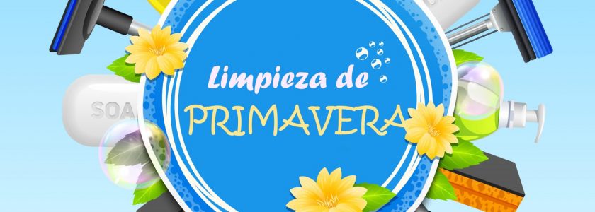 10 CONSEJOS PARA LA LIMPIEZA DE PRIMAVERA - Brillocor