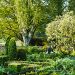 Mantenimiento de jardines en climas cálidos como el de Córdoba - Brillocor