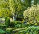 Mantenimiento de jardines en climas cálidos como el de Córdoba - Brillocor