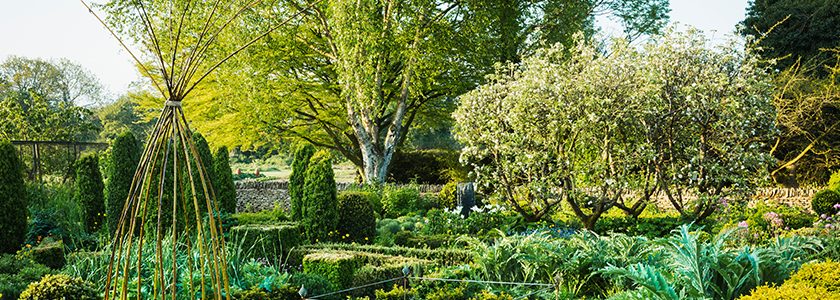 Mantenimiento de jardines en climas cálidos como el de Córdoba - Brillocor