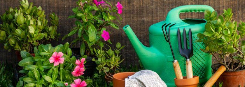 Tu jardín, ese pedacito de paraíso: cómo conseguirlo - Brillocor