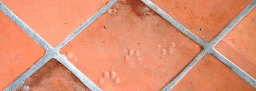 Cómo limpiar suelos de barro cocido - Brillocor Cómo limpiar suelos de barro cocido - Brillocor